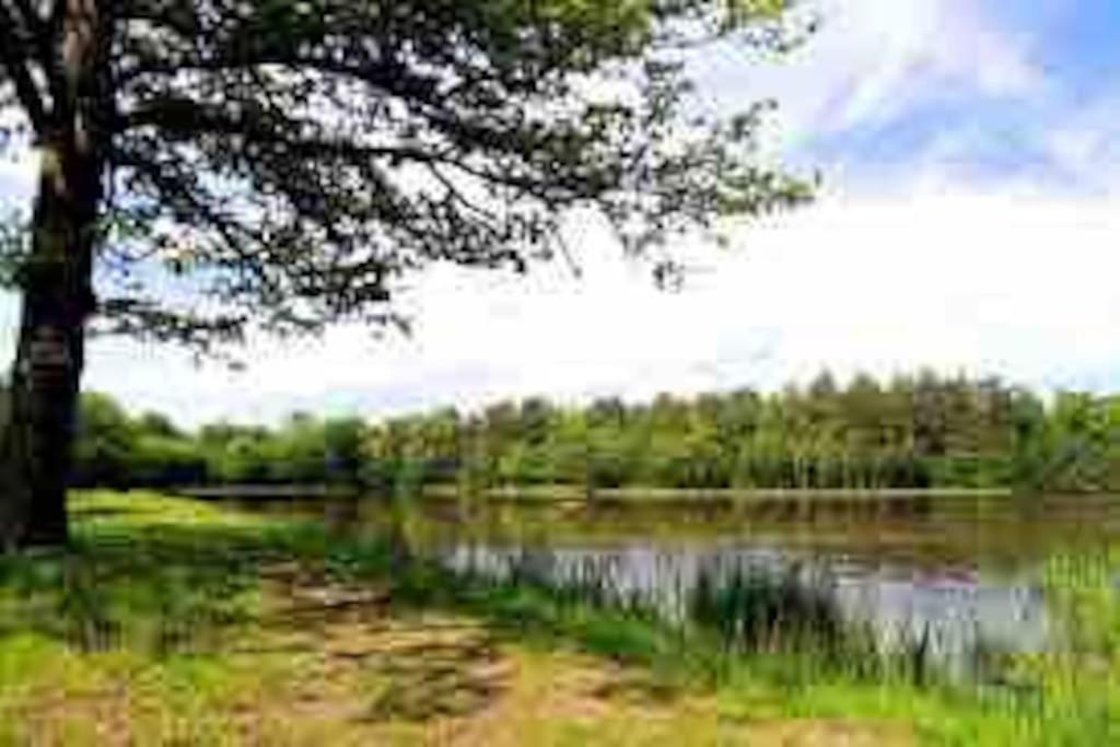 La Belle Etoile Holiday home Nancay